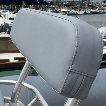 Purchase Pilot Backrest Cushion Zodiac Pro 650