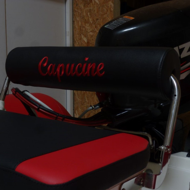 Purchase Pilot seat cushion for Zodiac Pro 550 / Pro II 500 / Pro 500 / Pr...