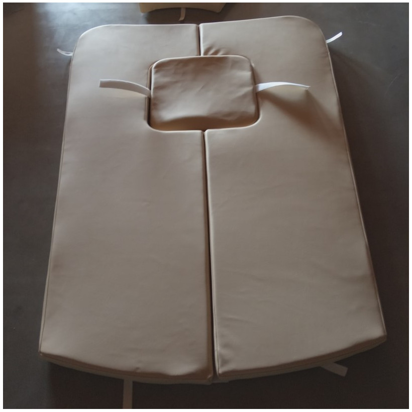 Purchase Jeanneau Leader 805 sun lounger cushion