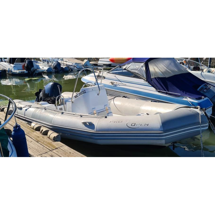 Purchase Zodiac Pro Open 550 winter cover