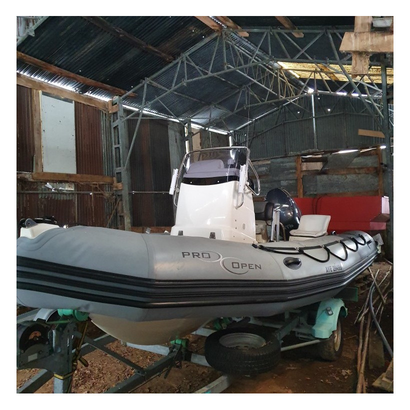 Purchase Zodiac Pro Open 550 winter cover