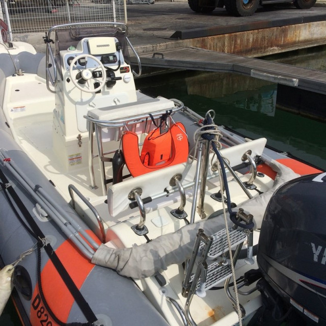 Purchase Zodiac Pro Open 650 winter cover