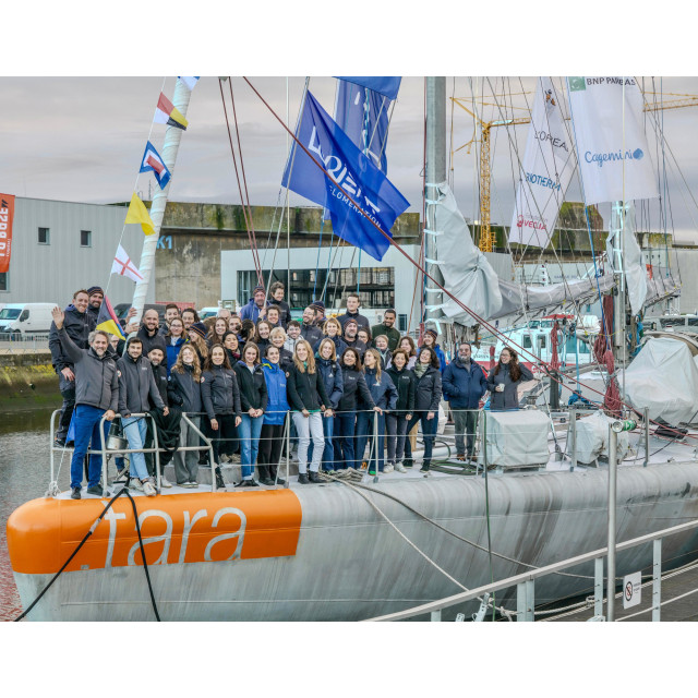 Purchase Lazy bag performance for skippers and sailing teams