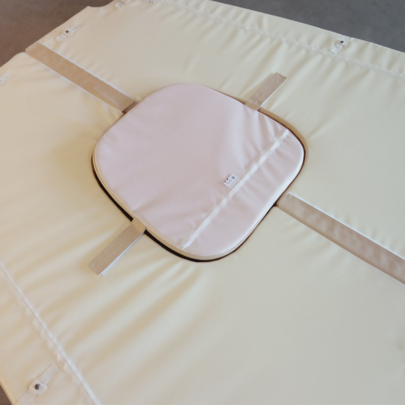 Achat Coussin bain de soleil Sea Ray Sundancer 255
