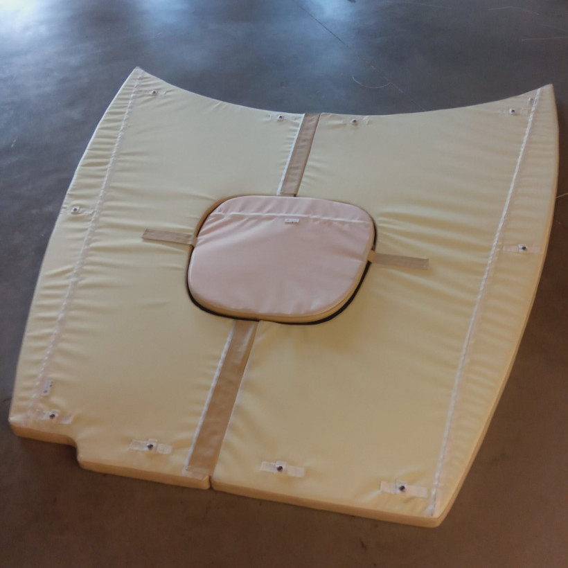 Purchase Sea Ray Sundancer 255 Sun Lounger Cushion