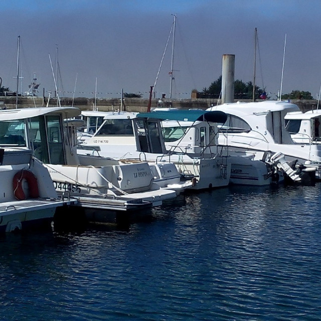 Purchase Bimini Sea Rover 590